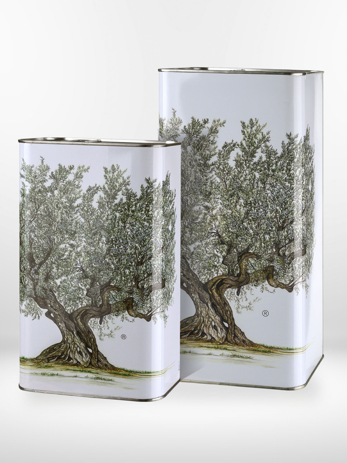 Two cans of olive oil with tree design. Olive oil can 5L, 3L, agridue Puglia.